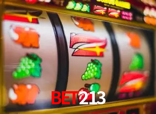 A Experiência Imersiva dos Cassinos Ao Vivo no bet213